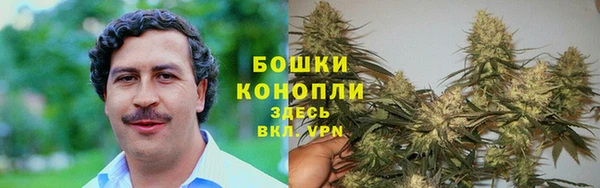 метамфетамин Алексин